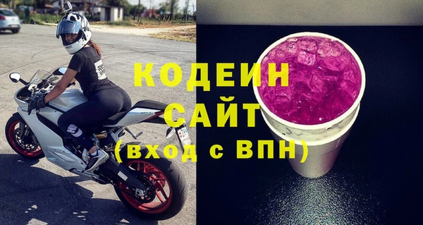 шишки Аркадак