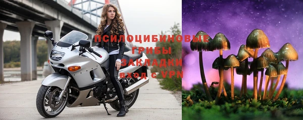 spice Баксан