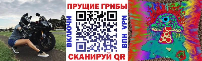 купить наркотики сайты  ОМГ ОМГ вход  Галлюциногенные грибы ЛСД  Сергач 